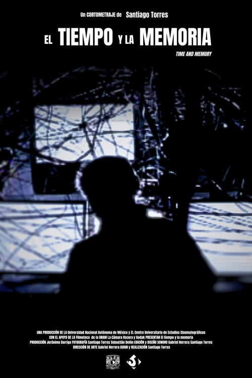 Time and Memory (2012) poster