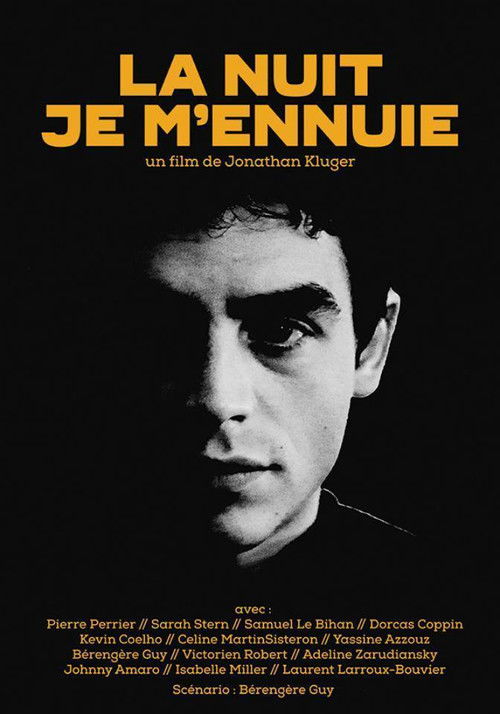 La nuit je m'ennuie (2015) poster