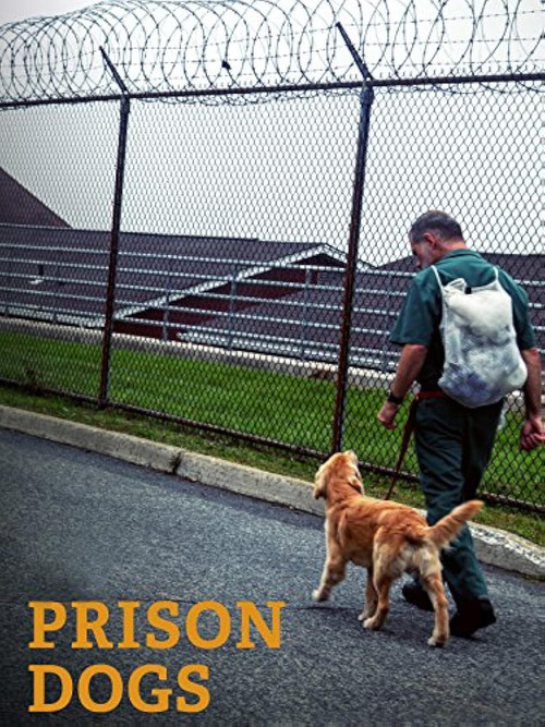 Prison Dogs (2016) poster