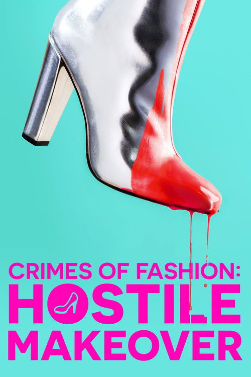 Hostile Makeover (2009) poster
