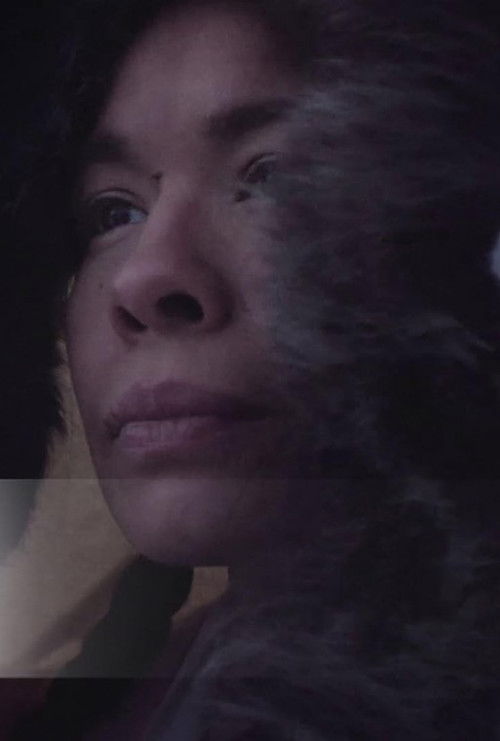 Heritage Minutes: Kenojuak Ashevak (2016) poster