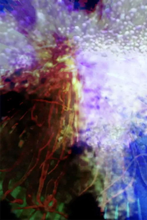 Sentimiento océanico (2022) poster