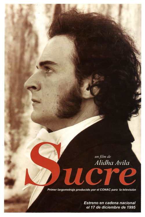 Alidha Ávila's Sucre (1995) poster