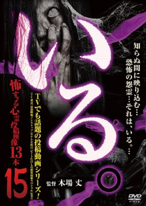 「Iru.」~ Kowasugiru Tōkō Eizō 13-hon ~ Vol.15 (2016) poster