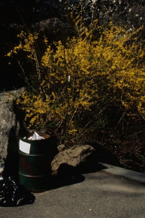 Grafitti Report Form (2012) poster