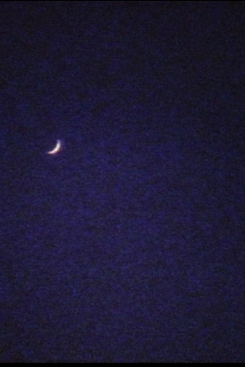 Crescent (1993) poster