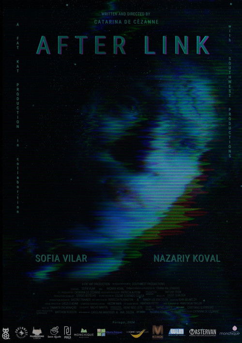 After Link (2024) poster