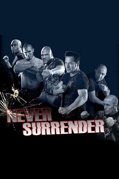 Never Surrender (2009) poster