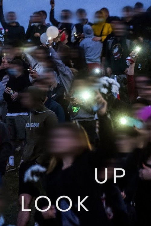 Please Look Up (2024) poster