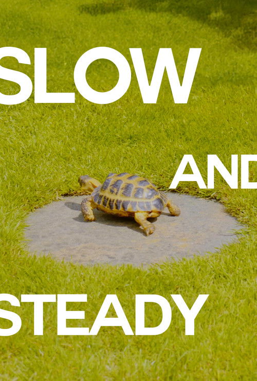 Slow and Steady (2024) poster
