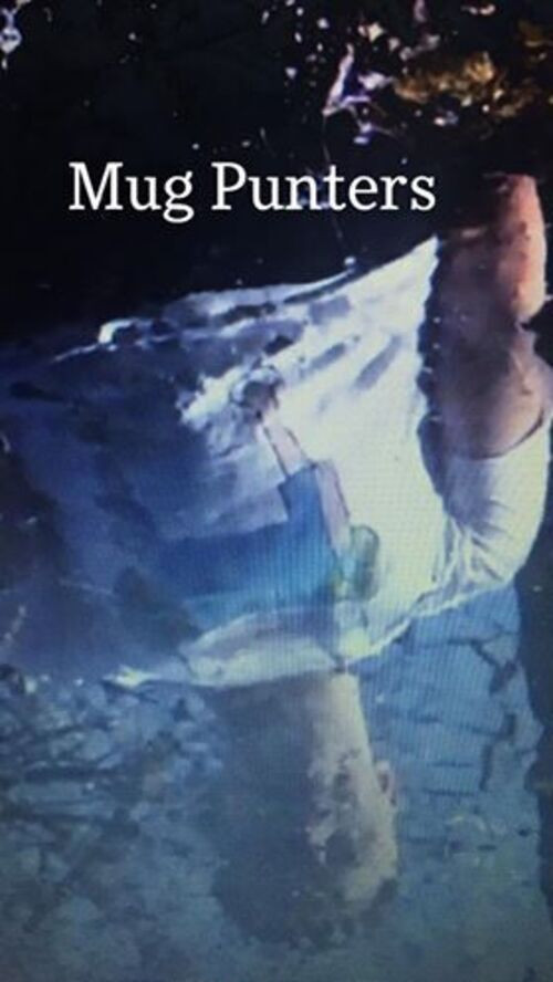 Mug Punters (2014) poster