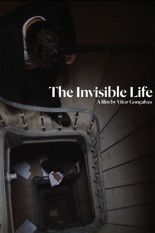 The Invisible Life (2013) poster