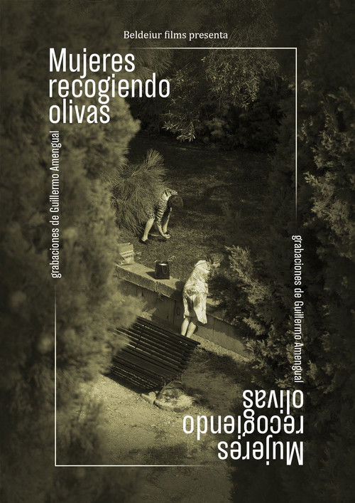 Women picking up olives (2024) poster