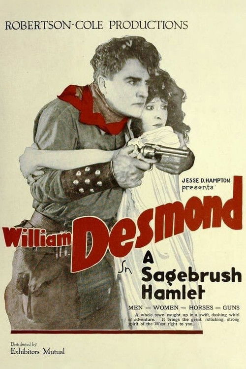 A Sage Brush Hamlet (1919) poster