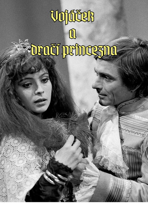 Vojáček a dračí princezna (1982) poster