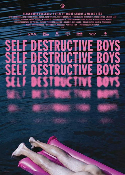 Self Destructive Boys (2018) poster