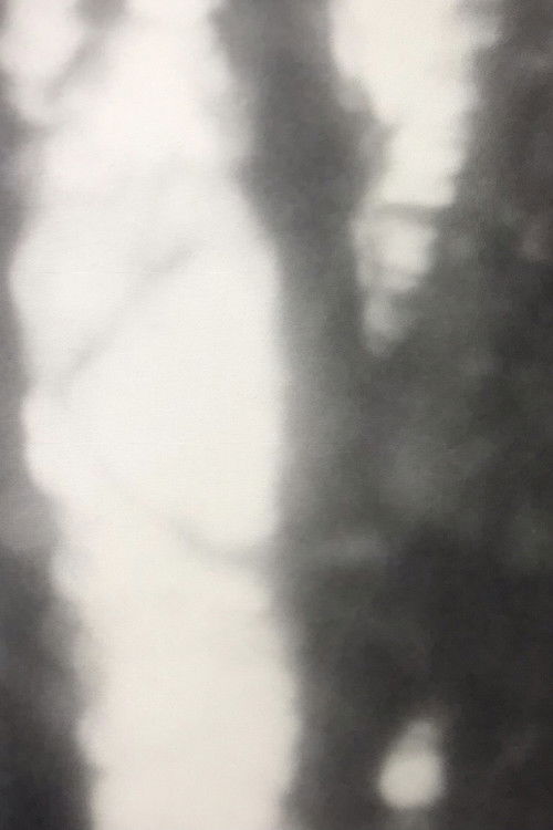 In/Contro/Luce (1977) poster