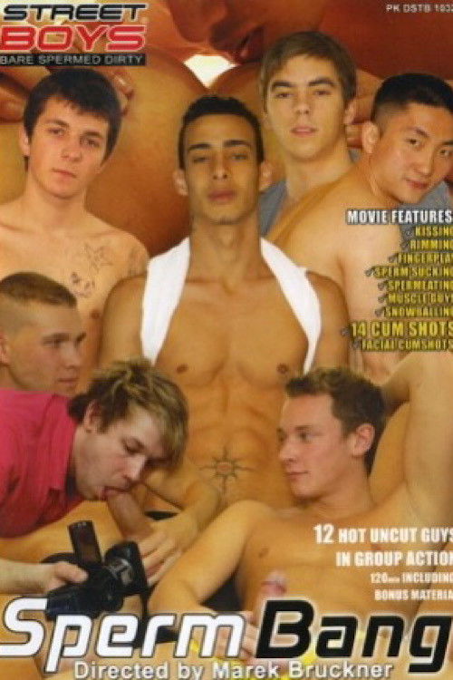 Sperm Bang (2010) poster