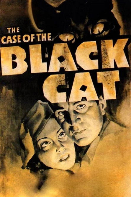 The Case of the Black Cat (1936) poster
