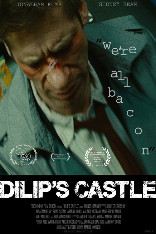Dilip's Castle (2014) poster