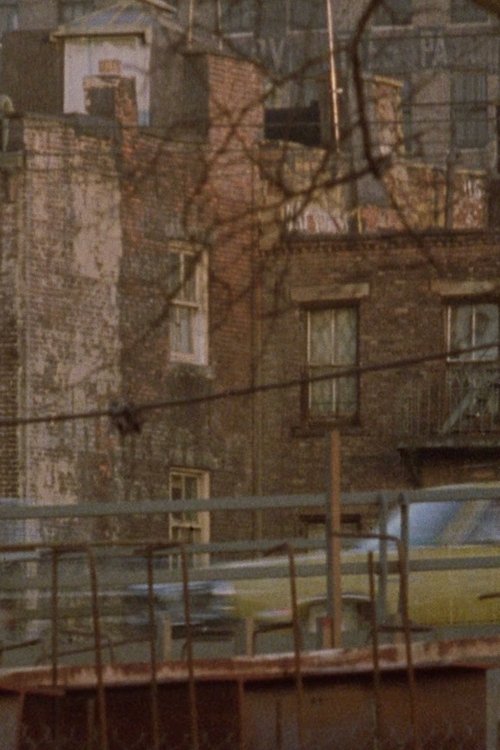 Pan 700 (1974) poster