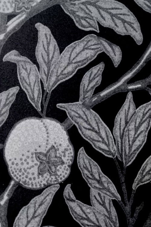 News from Nowhere (2020) poster