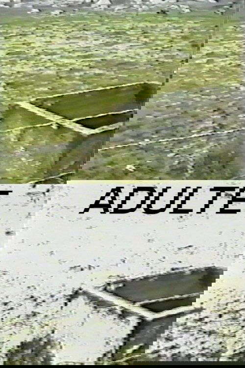 Adulte (1998) poster