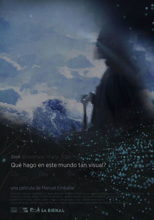 What I'm Doing In This Visual World? (2020) poster