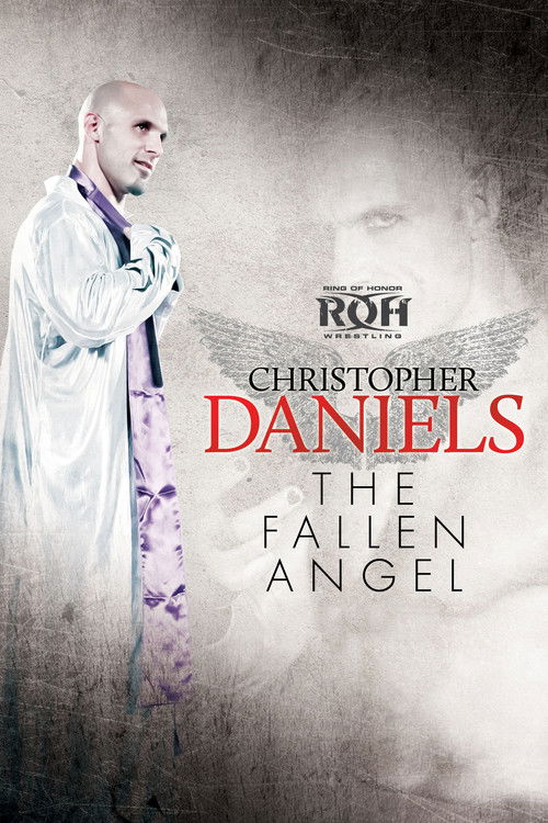 Christopher Daniels: The Fallen Angel (2013) poster