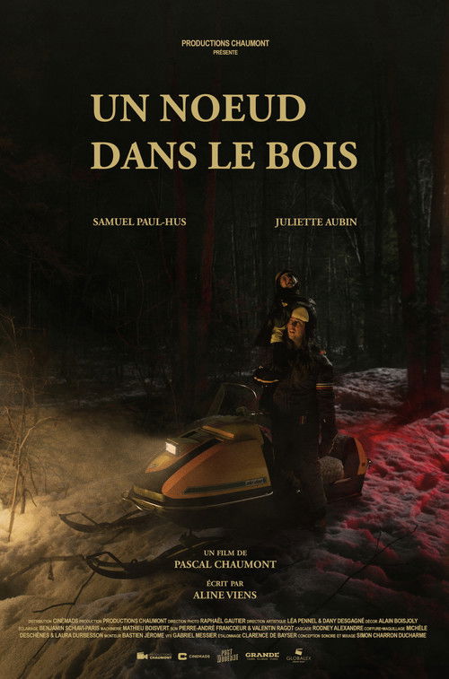 Un noeud dans le bois poster