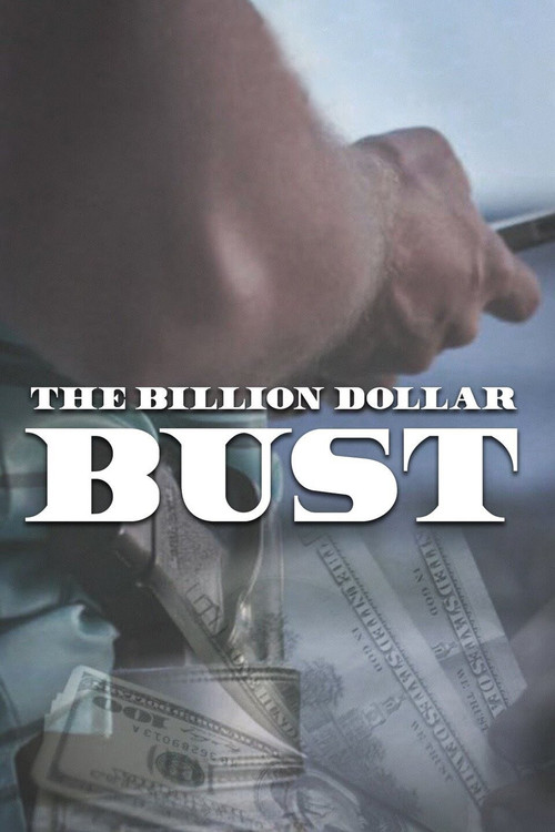 The Billion Dollar Bust (2018) poster