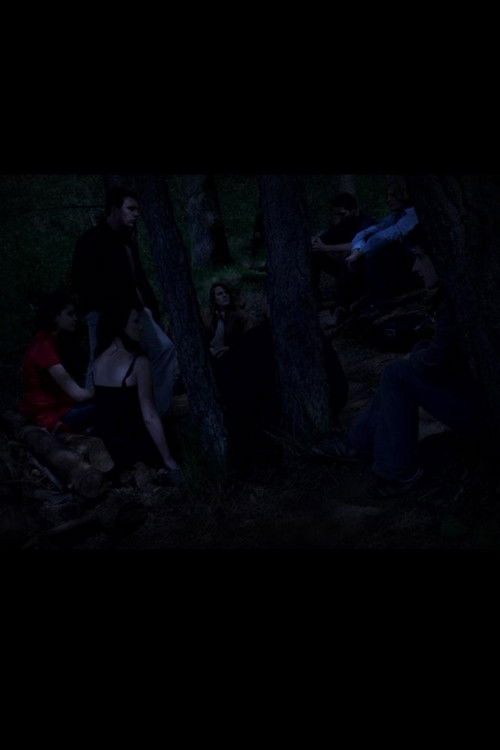 The Destructions (2011) poster