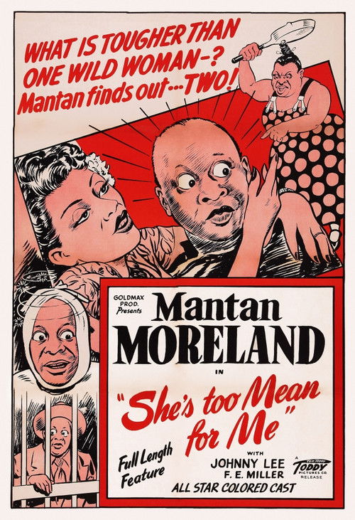 She's Too Mean for Me (1948) poster