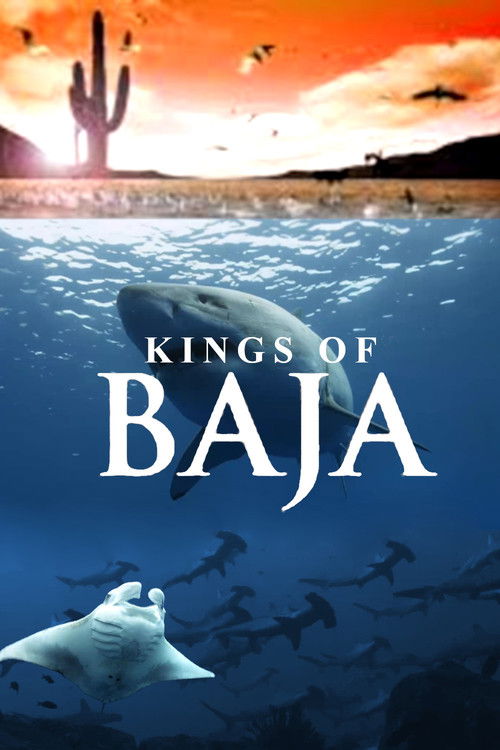 Kings of Baja (2014) poster