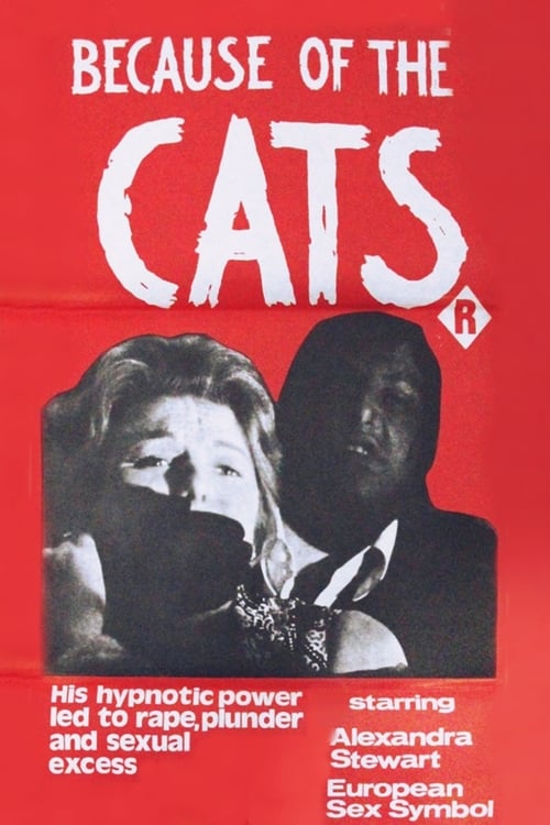 Because of the Cats (1973) poster