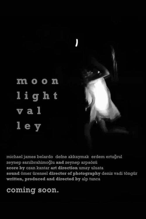 Moonlight Valley (2024) poster