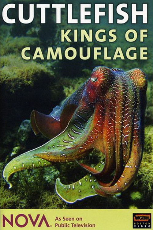 Cuttlefish: Kings of Camouflage (1997) poster