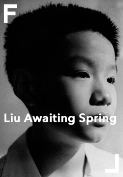 Liu Awaiting Spring (1998) poster