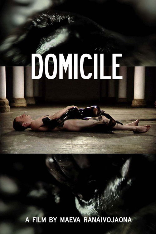 Domicile (2012) poster
