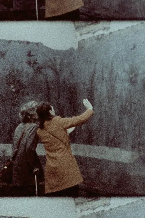 Daphne Was a Torso Ending in Leaves (2024) poster