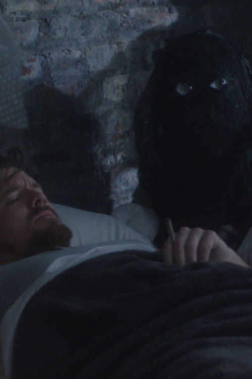 Fly Trap (2024) poster