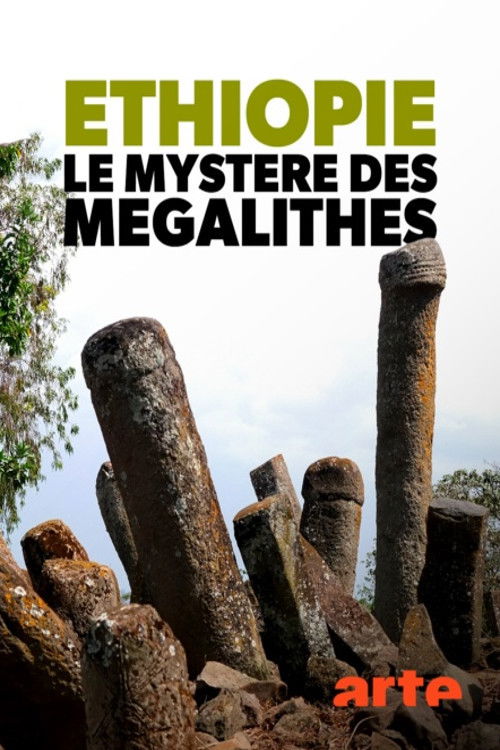 Éthiopie, le mystère des mégalithes (2019) poster