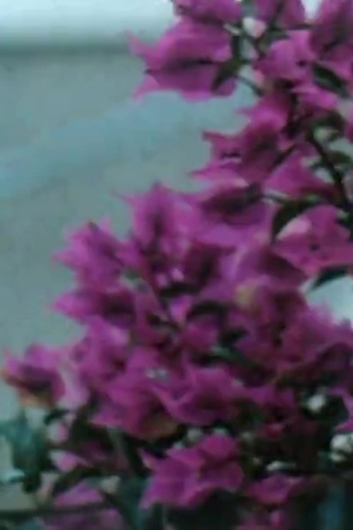 Spetsai (1989) poster