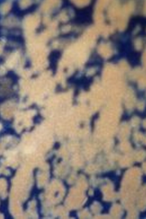 Ecosystem 9 ~ Quicksand (1993) poster