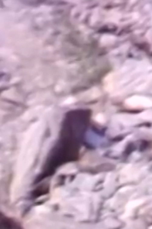 Rocas y Humo (1980) poster