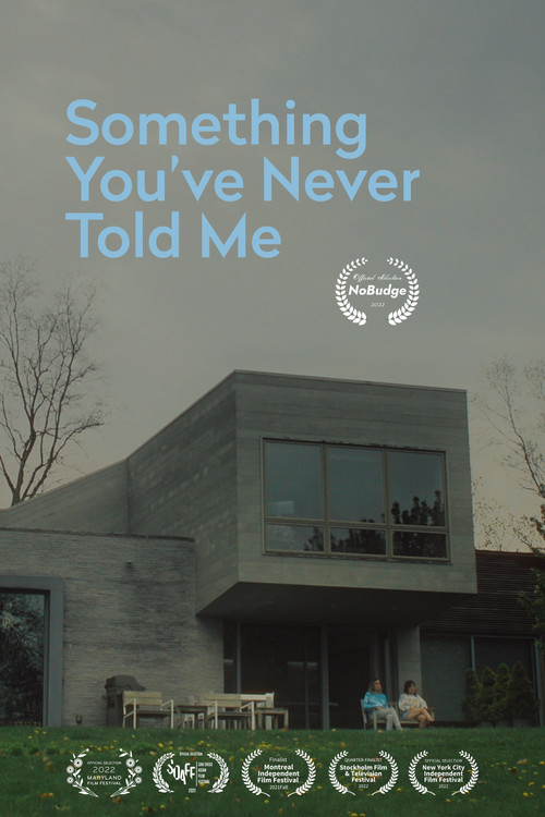 Something You've Never Told Me (2021) poster