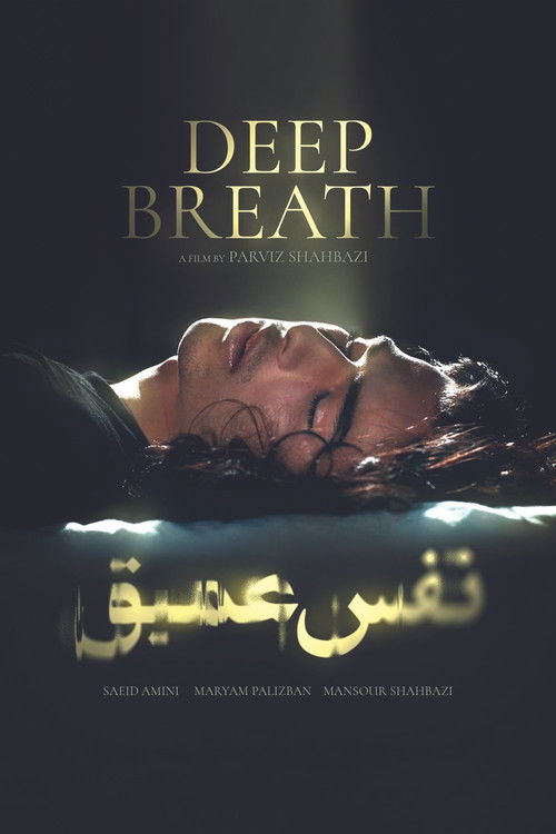 Deep Breath (2003) poster