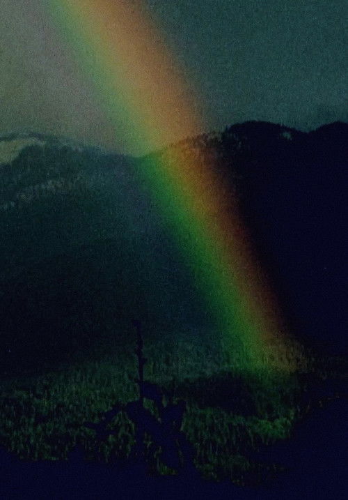 Running Shadow II (1972) poster