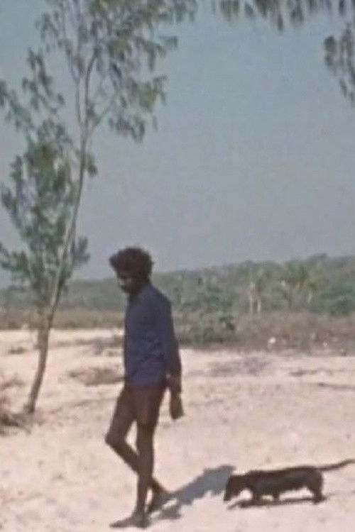 Madarrpa Funeral at Gurka’wuy (1979) poster