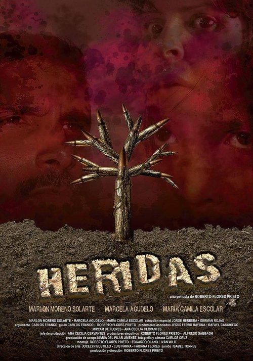 Heridas poster